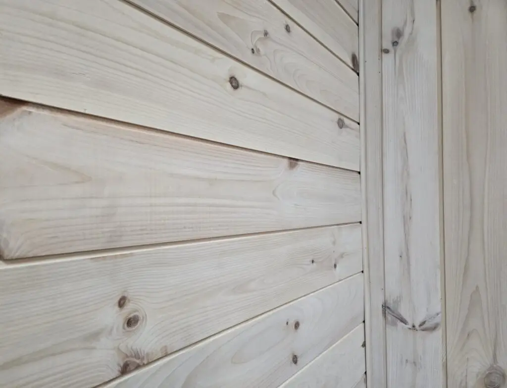 Scandinave_1